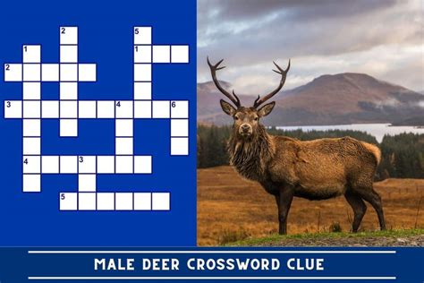 male deer crossword